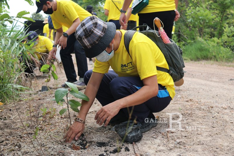 20210526-Tree planting dayt-018.jpg